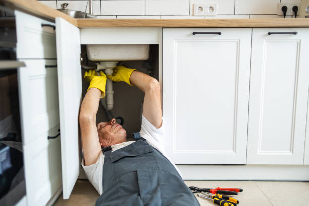 Best Plumbing Services Near Me  in Evergreen Park, IL
